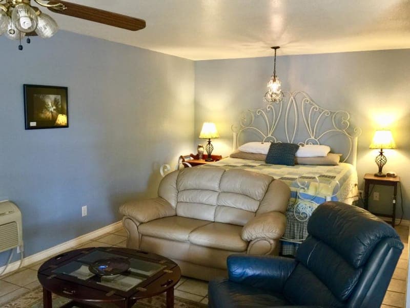 Bedroom and LIving Area