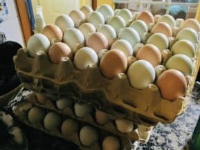 A stack of egg cartons filled with various colored eggs.