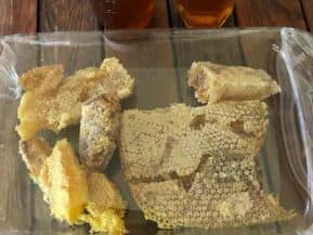A clear container holds pieces of honeycomb and two glasses of honey.